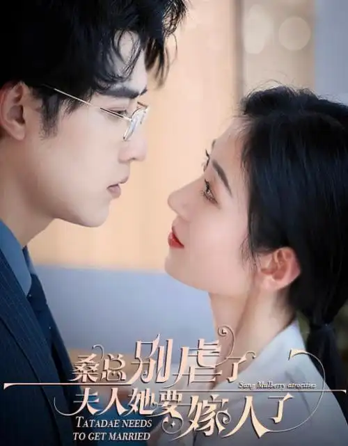 云上法庭热播电视剧全集免费在线观看
